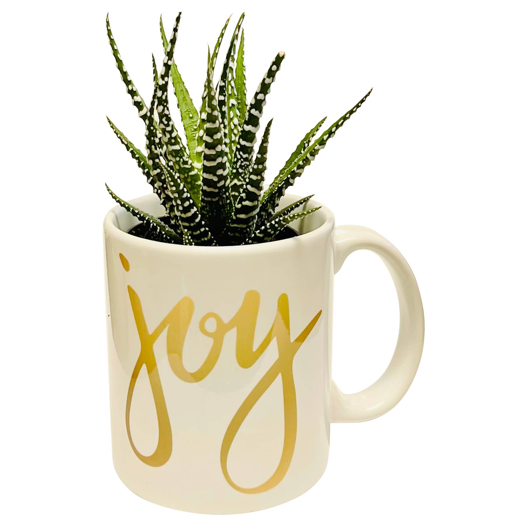Succulent in Joy Coffee Mug